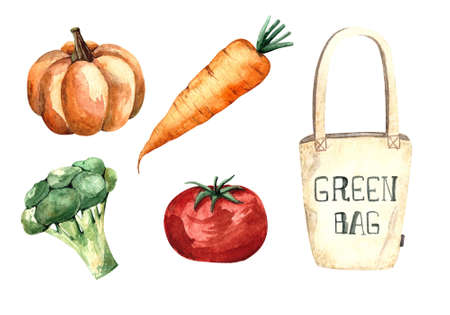 Watercolor set with vegetables, pumpkin, broccoli, carrot, tomato, shopping bag. Isolated elements on a white background. Watercolor illustrations for fabrics, products, stores, packaging, menus, cafeの写真素材