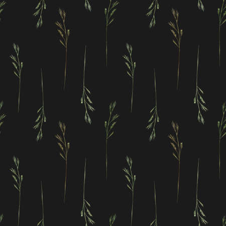Watercolor seamless pattern with wild field herbs, wild grasses on a black background.の写真素材
