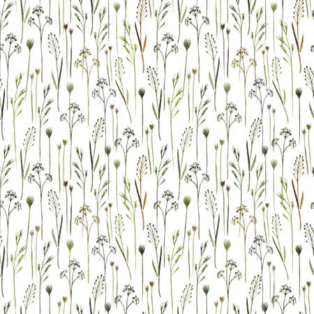 Watercolor seamless pattern with wild field herbs, wild grasses on a white background.の写真素材