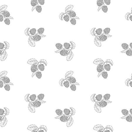 A seamless pattern with berries and raspberry sprigs in a graphic style on a white background.の写真素材