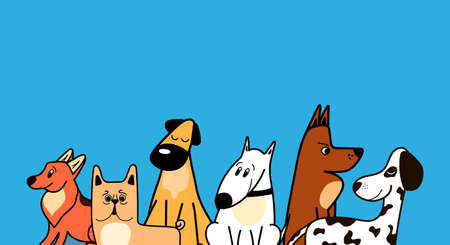Vector border with cute different breeds of dogs in cartoon style on a blue background, Corgi, Bulldog, Dalmatian, Bull terrier.のイラスト素材