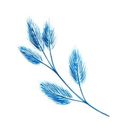 Fluffy blue twig of dried flower, twig with buds, spring twig, watercolor illustrationの写真素材