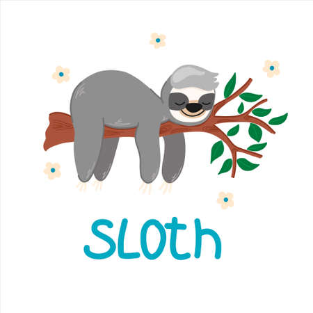 Vector illustration with a cute sloth hanging on a tree, cute animal, childrens cartoon-styleのイラスト素材