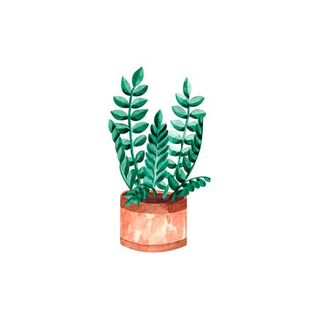 Watercolor illustration with a houseplant, house flowers, palm tree, a plant for the houseの写真素材