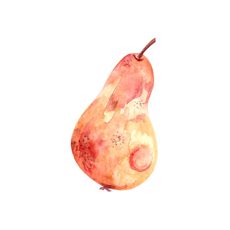 Watercolor illustration with a large orange pear, autumn, Halloween.の写真素材
