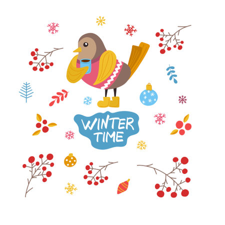 A set of cute Christmas birds in winter accessories - hat, scarf, boots.のイラスト素材