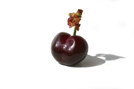 black cherryの写真素材
