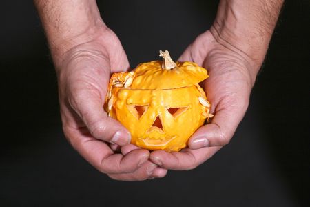  pumpkinの写真素材