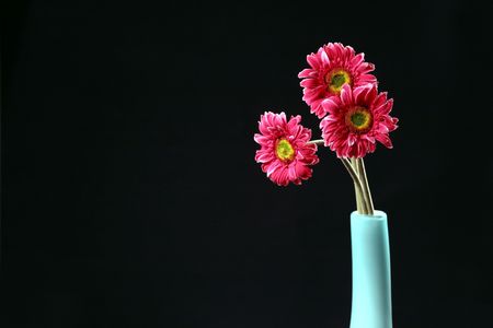 three flowers の写真素材