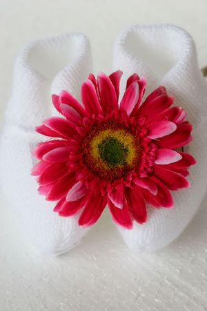 cute  shoes and flower の写真素材