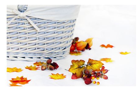Autumn leaves and basketの写真素材
