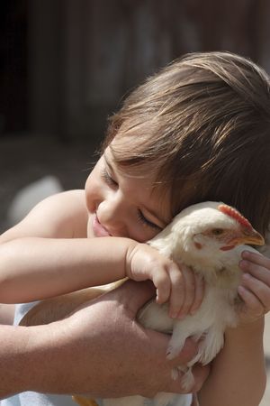 Little girl with chickenの写真素材