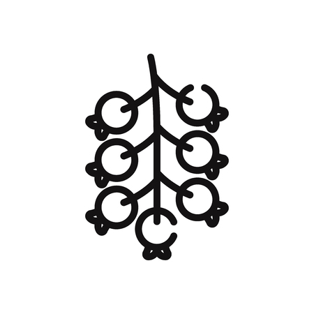 Berries vector iconのイラスト素材