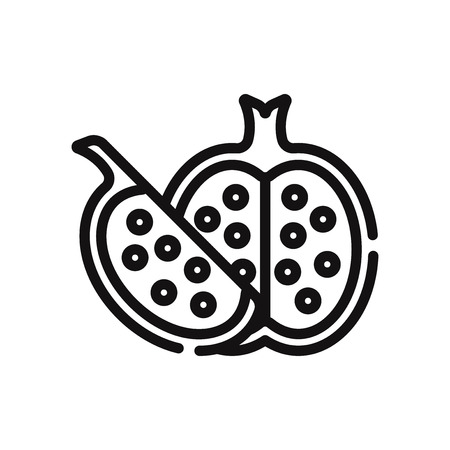 Pomegranate vector iconのイラスト素材