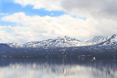 Tranquil lake surrounded by volcanoes  gulls hover in the sky, の写真素材