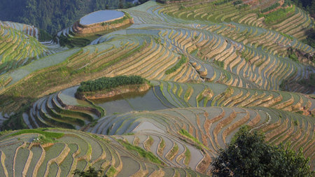 Magnificent old rice terraces in the mountains of China, Pingyao ...