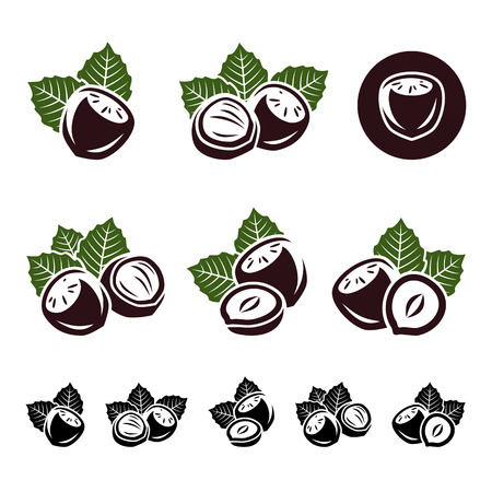 Hazelnut nuts set  Vector のイラスト素材
