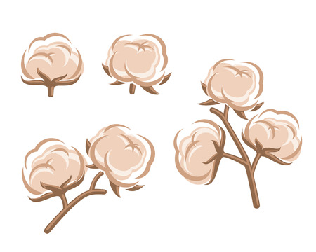 Cotton set  Vector のイラスト素材