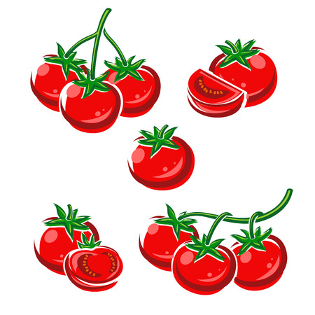 Tomato set  Vector のイラスト素材
