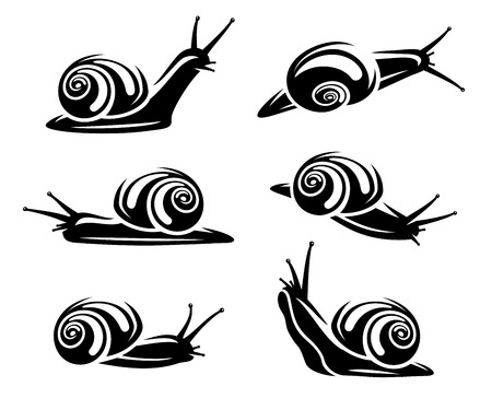 Snail set  Vector のイラスト素材