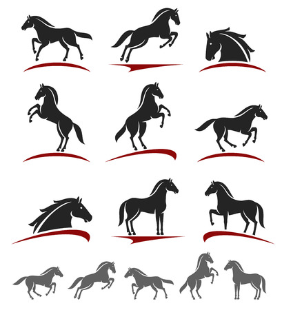 Horse set. のイラスト素材