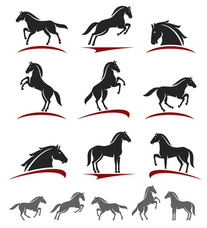 Horse set.