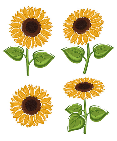 Sunflower seeds set. のイラスト素材