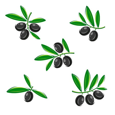 Olive set. Vector illustration collectionのイラスト素材