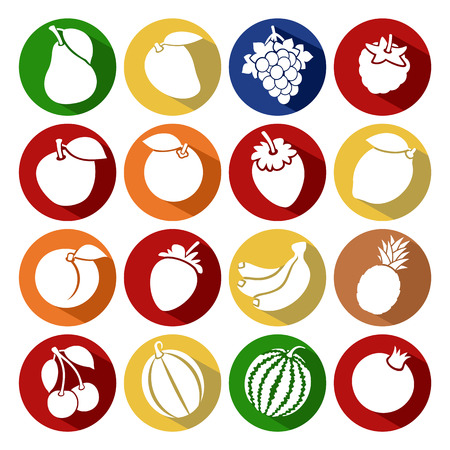 Collection of fruits set.のイラスト素材