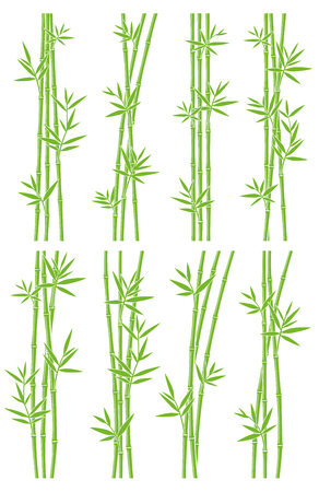 Bamboo collection set. Vectorのイラスト素材