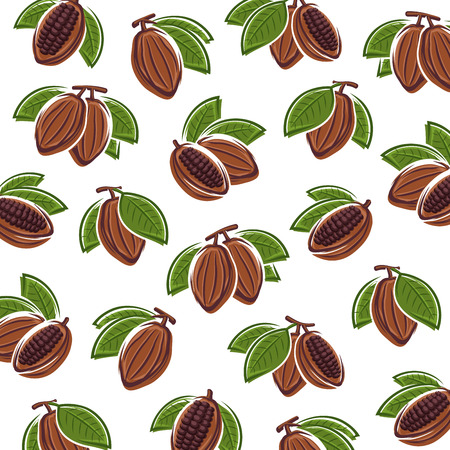 Cacao beans background. Vectorのイラスト素材