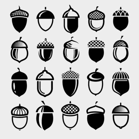 Acorns set. Collection icon acorns. Vectorのイラスト素材