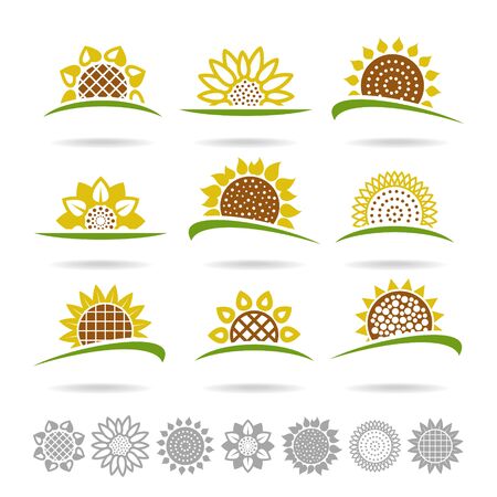 Sunflower set. Collection icon sunflower. Vectorのイラスト素材