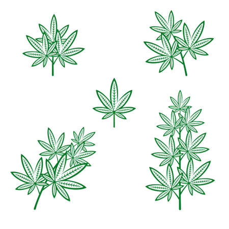 Cannabis, marijuana set. Collection cannabis icons Vector illustrationのイラスト素材