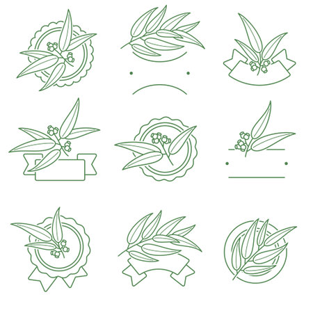 Eucalyptus label and icons set. Collection icon eucalyptus. Vector illustrationのイラスト素材