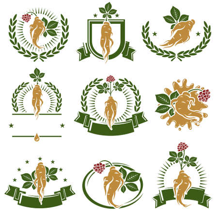Red ginseng label and icon set. Collection icon red ginseng. vector illustrationのイラスト素材