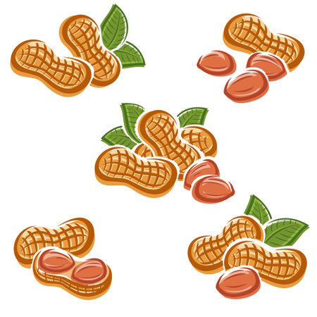 Peanuts set. Collection icon peanuts. vector illustrationのイラスト素材