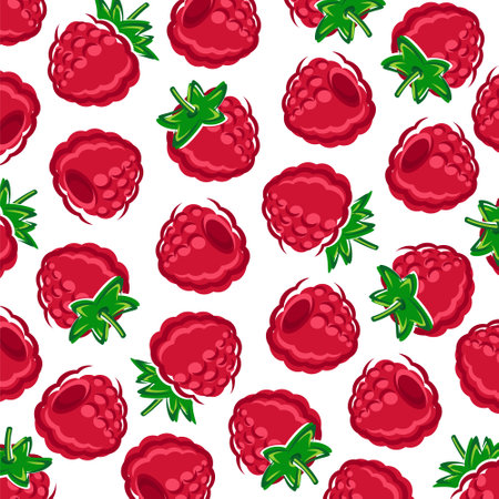 Raspberry pattern background set. Collection icon raspberry. vector illustration