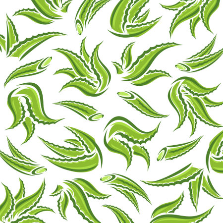 Aloe Vera pattern background set. Isolated Aloe Vera set. vector illustrationのイラスト素材