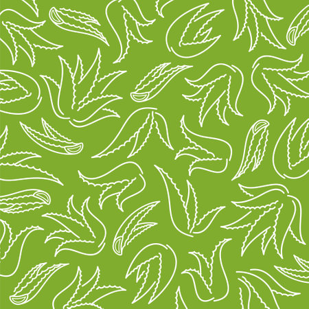 Aloe Vera pattern background set. Isolated Aloe Vera set. vector illustrationのイラスト素材