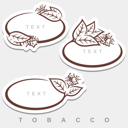 Tobacco icons set. Collection tobacco leaves frame. Vectorのイラスト素材