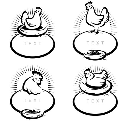 chicken set. Collection icon chicken. Vectorのイラスト素材