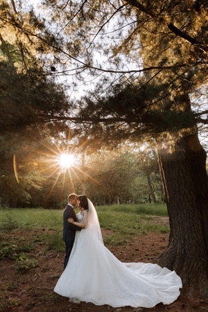 Happy young couple, bride with long curly hair in white dress with long train. Beautiful girl in the park. Beautiful sunlight. Wedding photo shootの写真素材