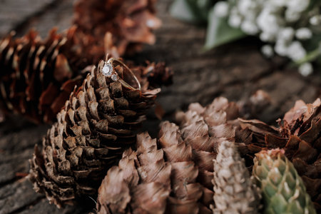 wedding ring lying on a Christmas tree cone, on a beautiful textured surface, photo details....