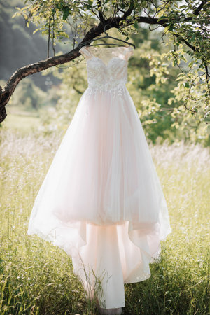 A soft pink wedding dress hanging on a beautiful tree in the garden. Beautiful sunlight. Wedding photo.の写真素材