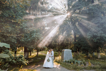 beautiful couple in love on their wedding day. A walk in the park in the sunlight through the leaves of the trees, the bride and groom embrace.の写真素材