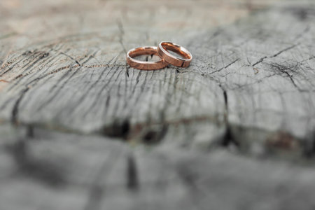 Wedding rings stand on a tree background. Wedding details. Rings on a tree. Wedding photography. Close-up of wedding rings lying on the bark of a tree. blurred backgroundの写真素材