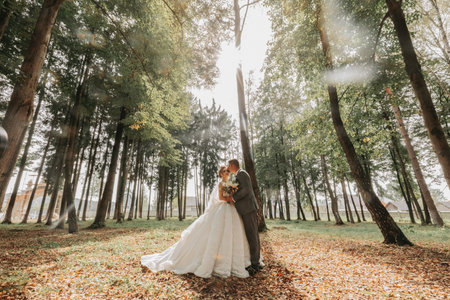 the bride and groom walk hand in hand through the forest. Happy couple. Wedding photo. Couple in love. Tall trees, wide-angle photo. Perfect lightの写真素材