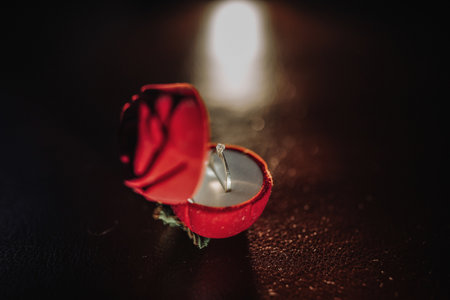 Silver engagement ring of the bride with a precious stone in a red box stands on a table in contour...