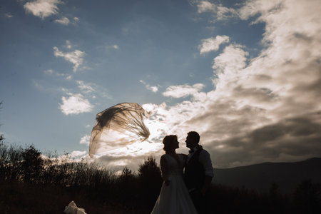 Happy wedding couple posing over a beautiful mountain landscape. wedding veil in the airの写真素材